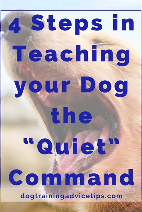 Teaching the Quiet Command