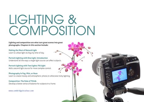 Technical Considerations: Lighting and Composition