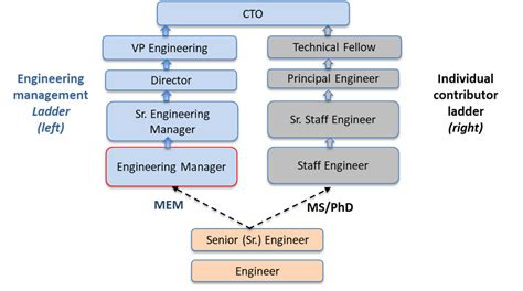 Technical and Engineering Roles