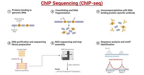 Technique 1: The Chip Extraction Method