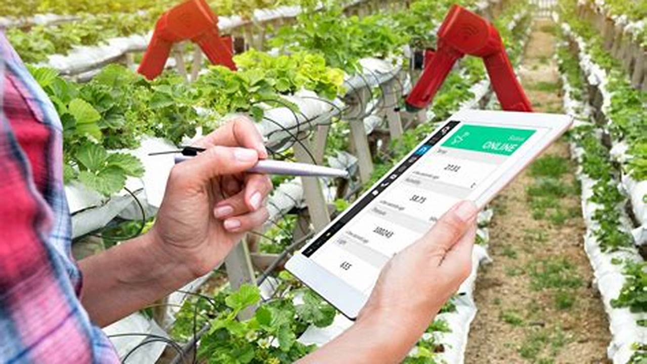 Technology, DIY Farm