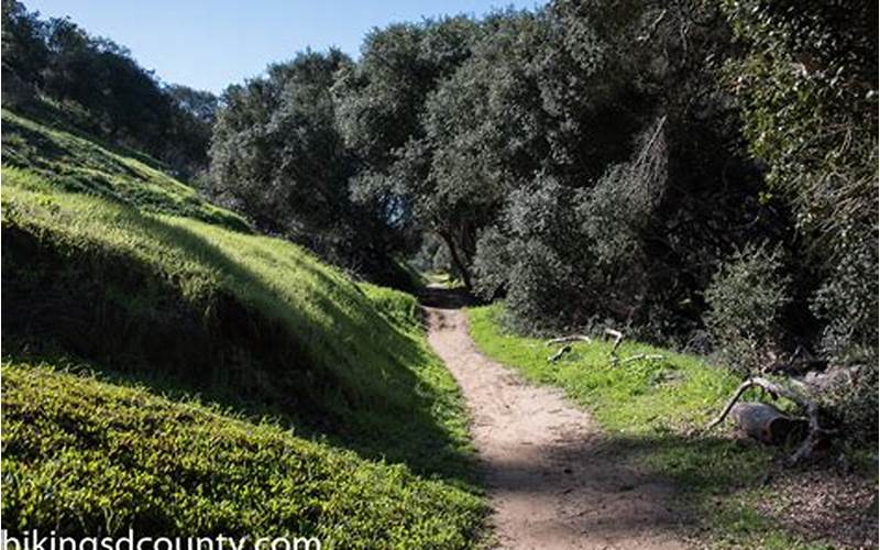 Tecolote Canyon Hiking Area: An Outdoor Adventure in San Diego