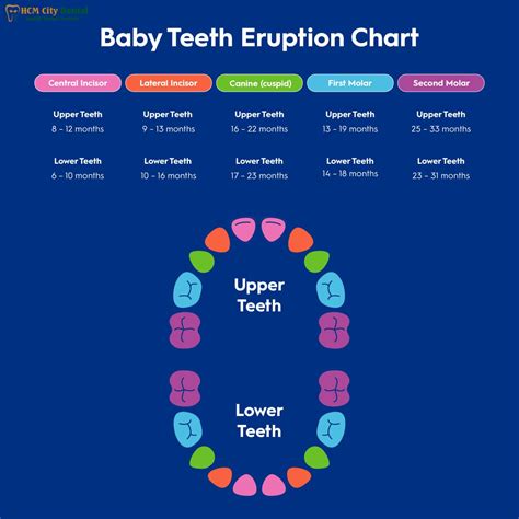 Teeth Coming In Chart