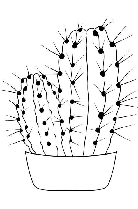 Tegninger Kaktus