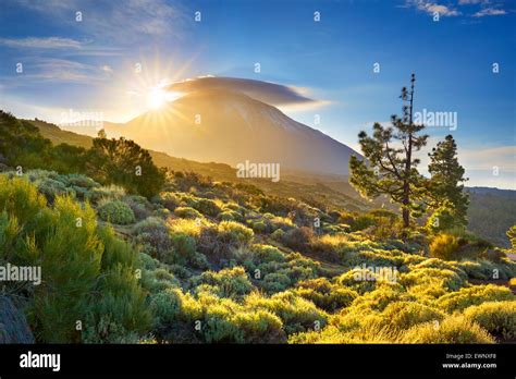Teide National Park Sunset