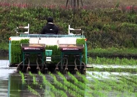 Teknologi Pertanian Canggih di Jepang