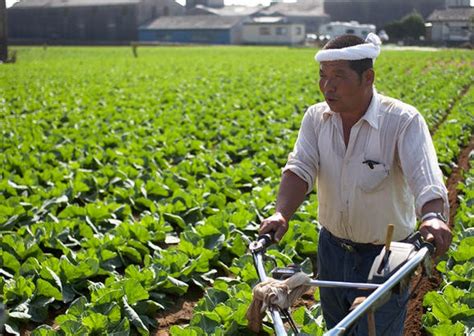Teknologi Pertanian di Jepang
