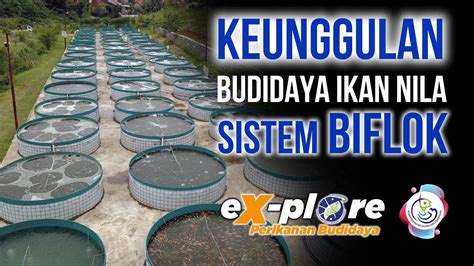 Teknologi Terkini dalam Budidaya Spermatophyte Indonesia
