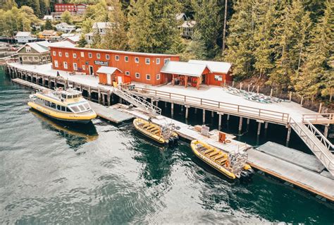 Telegraph Cove activities