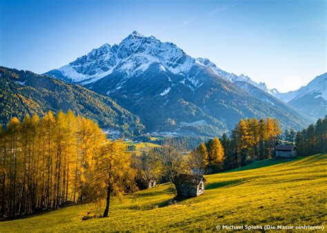 Telfer Wiesen panoramic views