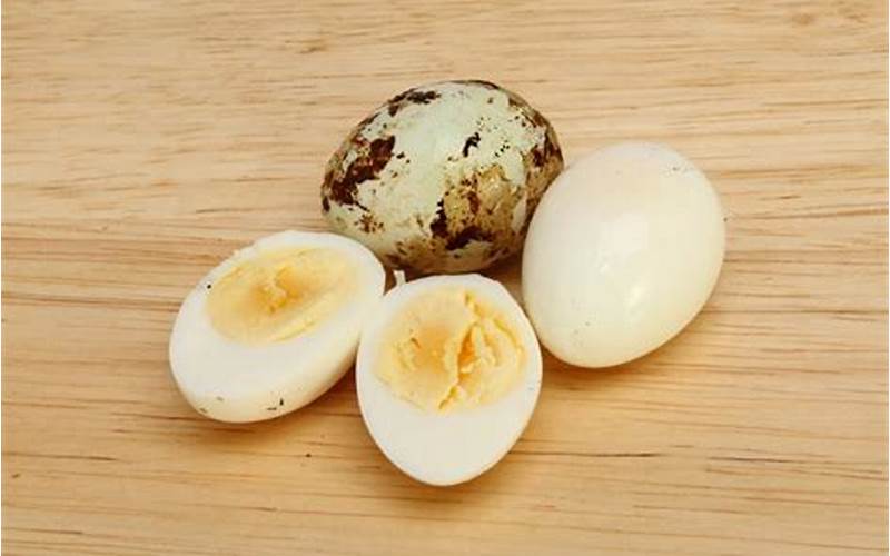 Telur Puyuh
