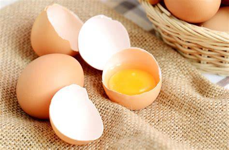 Telur
