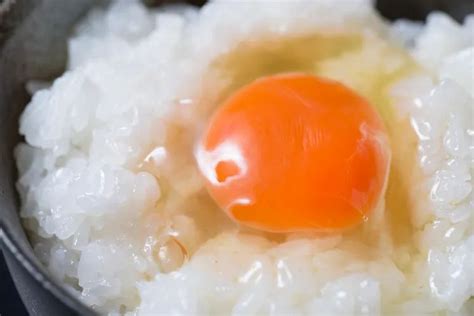 Telur Mentah Jepang yang Aman