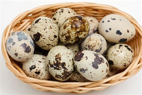 Telur