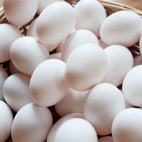 Telur Ayam Putih