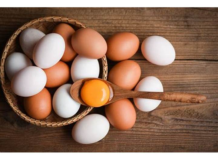 Telur Ayam Sehat