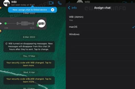 Tema WhatsApp Premium