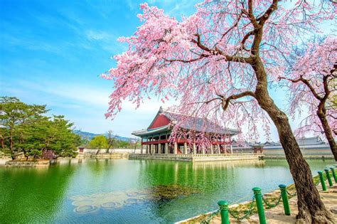 Tempat Wisata Di Korea Selatan Seoul