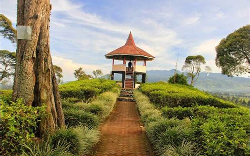 Tempat Wisata Menarik Lainnya Di Pangalengan Bandung Selatan