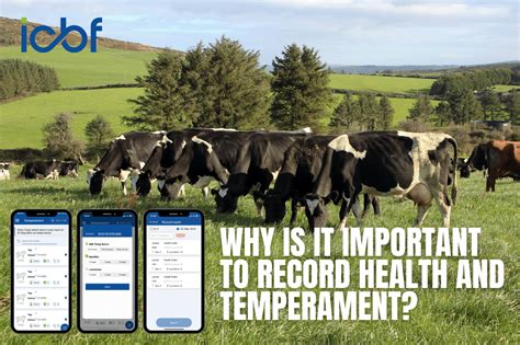 Temperament and Health Checks