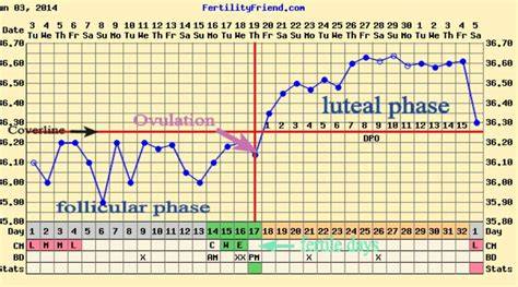 Temperature And Ovulation Chart