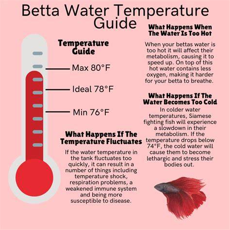 Temperature For Betta