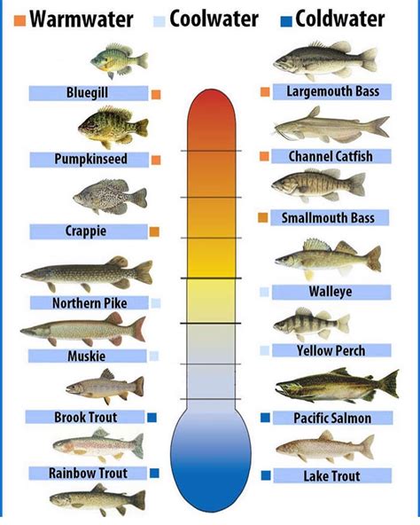 Temperature Needs of the Fish