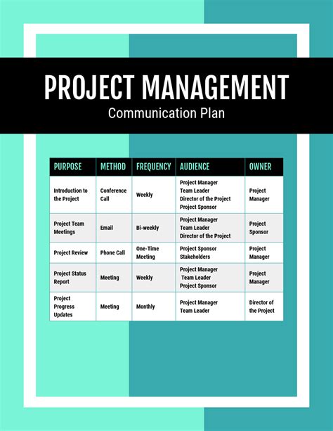 Template For Project Management Plan