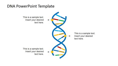 Template Strand Of Dna