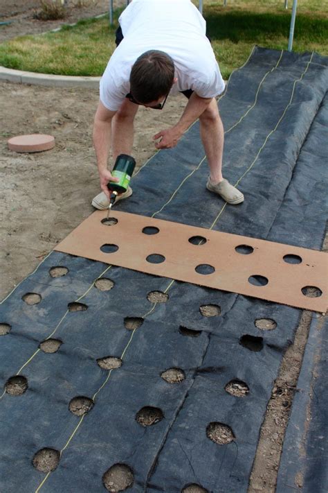 Template For Burning Holes In Landscape Fabric