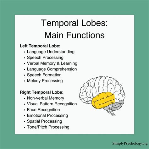 Temporal Lobe Tenderness