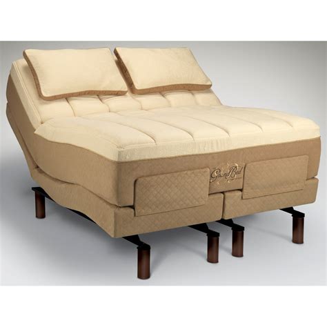 Tempur Pedic King Mattress Adjustable Bed