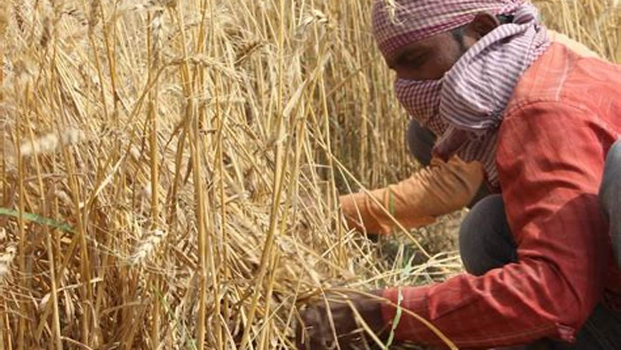 Tenaga Kerja, Tanaman