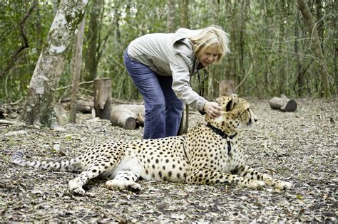 Tenikwa Cheetah Walk