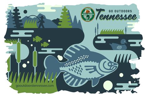 Tennessee Fishing License Information