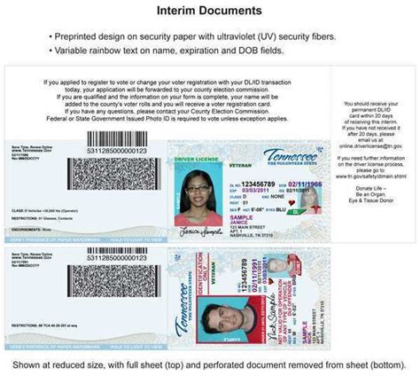 Tennessee Id Template