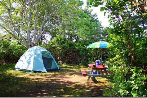 Tent Camping Cape Cod