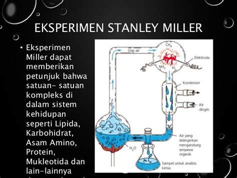 Teori Evolusi Kimia Stanley Miller: Menelusuri Asal-usul Kehidupan