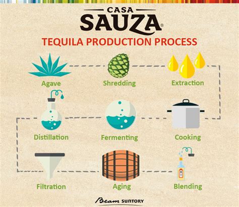 Tequila making process