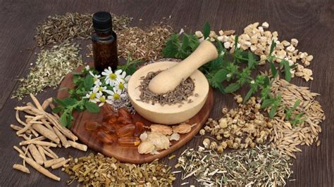 Terapi Herbal
