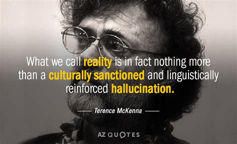 Terence Mckenna Quotes