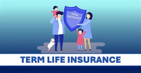 Term Life Insurance: The Standard Option