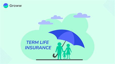 Term Life Insurance Options