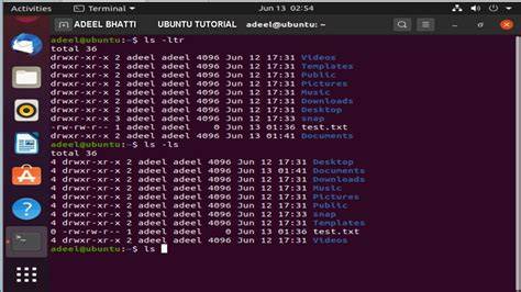 Terminal Ubuntu Command Line