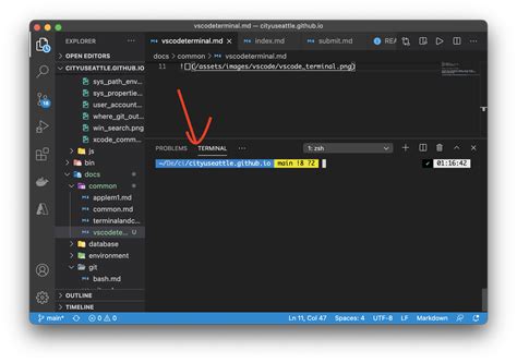 Terminal Window in VSCode