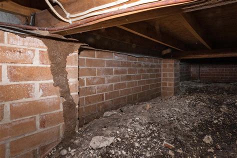 Termite damage in crawl space