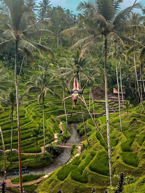 Terrace River Pool Swing