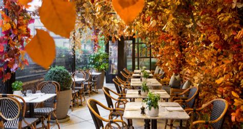 Terrace for autumn events