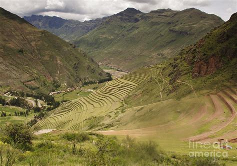 Terraced Fields Sacred Valley
