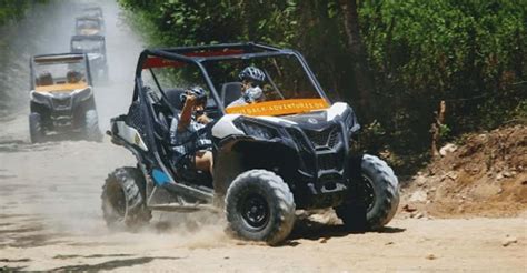 Terracross Safari Audience